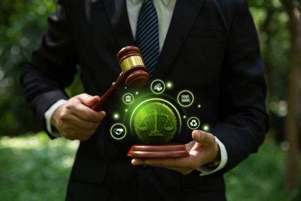 Environmental law lawyers for NGT